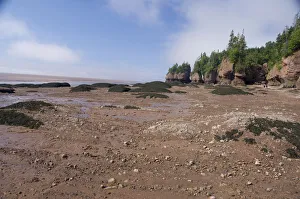 Images Dated 6th July 2008: Canada, New Brunswick, Hopewell Cape, Bay of Fundy. Hopewell Rocks at low tide (aka