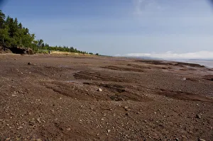 Images Dated 6th July 2008: Canada, New Brunswick, Hopewell Cape, Bay of Fundy. Hopewell Rocks at low tide