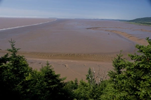 Images Dated 6th July 2008: Canada, New Brunswick, Hopewell Cape, Bay of Fundy. Daniel Flats, view of mud flats