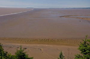 Canada, New Brunswick, Hopewell Cape, Bay of Fundy. Daniel Flats, view of mud flats