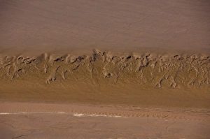 Images Dated 6th July 2008: Canada, New Brunswick, Hopewell Cape, Bay of Fundy. Daniel Flats, view of mud flats