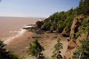 Images Dated 6th July 2008: Canada, New Brunswick, Hopewell Cape, Bay of Fundy. Hopewell Rocks at low tide. Big
