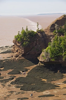 Images Dated 6th July 2008: Canada, New Brunswick, Hopewell Cape, Bay of Fundy. Hopewell Rocks at low tide. Big