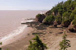 Images Dated 6th July 2008: Canada, New Brunswick, Hopewell Cape, Bay of Fundy. Hopewell Rocks at low tide. Big