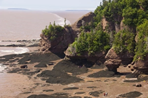 Images Dated 6th July 2008: Canada, New Brunswick, Hopewell Cape, Bay of Fundy. Hopewell Rocks at low tide. Big
