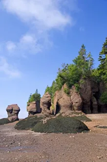 Images Dated 6th July 2008: Canada, New Brunswick, Hopewell Cape, Bay of Fundy. Hopewell Rocks at low tide (aka