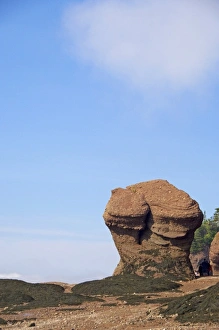 Images Dated 6th July 2008: Canada, New Brunswick, Hopewell Cape, Bay of Fundy. Hopewell Rocks at low tide (aka