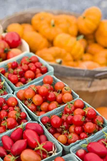 Food & Beverage Gallery: Canada, New Brunswick, Kennebecasis River Valley. Kingston Farmers Market in autumn