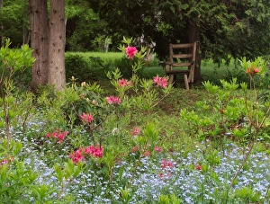 Images Dated 10th June 2013: Canada, New Brunswick, Kingston, Shampers Bluff. Scenic of garden and forest. Credit as