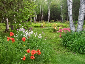 Images Dated 10th June 2013: Canada, New Brunswick, Kingston, Shampers Bluff. Scenic of forest and garden. Credit as