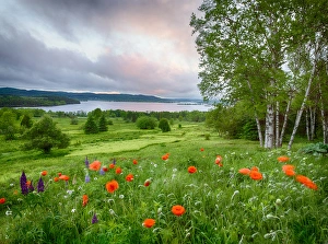 Canada, New Brunswick, Kingston, Shampers Bluff. Landscape of meadow and St. John River