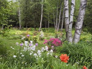 Images Dated 9th June 2013: Canada, New Brunswick, Kingston, Shampers Bluff. Scenic of forest and garden. Credit as