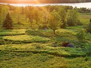 Images Dated 10th June 2013: Canada, New Brunswick, Kingston, Shampers Bluff. Sunset rays on meadow and St. John River