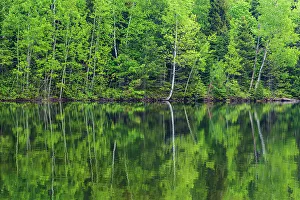 New Brunswick Prints: Canada, New Brunswick, Kouchibouguac National Park. Spring forest reflections in lake