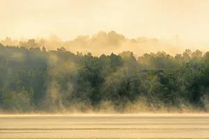 Images Dated 7th June 2015: Canada, New Brunswick, Mactaquac. Morning fog on Saint John River at sunrise. Credit as