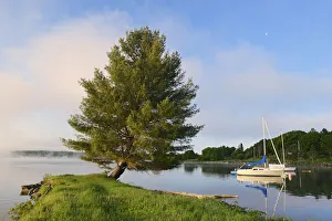Images Dated 7th June 2015: Canada, New Brunswick, Mactaquac. Boat and white pine