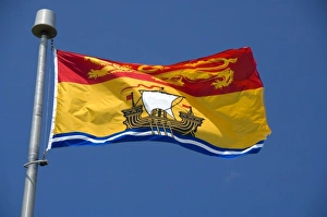 Images Dated 7th July 2008: Canada, New Brunswick. New Brunswick flag