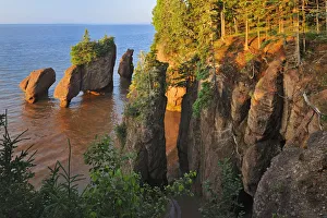 New Brunswick Prints: Canada, New Brunswick, The Rocks Provincial Park