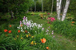 Images Dated 14th June 2013: Canada, New Brunswick, Shampers Bluff. Garden scenic