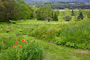 Images Dated 14th June 2013: Canada, New Brunswick, Shampers Bluff. Landscape of meadow and St. John River. Credit as
