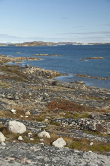 Images Dated 21st September 2010: Canada, Newfoundland & Labrador, Northern Labrador coast, Hopedale (aka Agvituk)