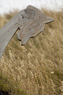 Images Dated 23rd September 2010: Canada, Newfoundland and Labrador, L Anse Aux Meadows. Archaeological site of