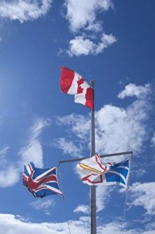 Flag Pole Prints: Canada, Newfoundland and Labrador, Newfundland, St. Anthony. Local flags