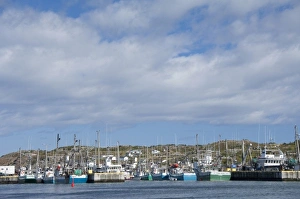Images Dated 24th September 2010: Canada, Newfoundland and Labrador, Twillingate. The port area along the Kittiwake Coast
