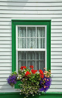 Quaint Prints: Canada, Newfoundland and Labrador. Window in Brigus