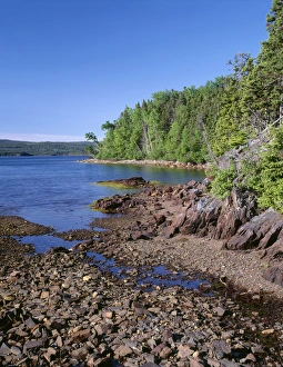 Hardwood Prints: Canada, Newfoundland, Terra Nova National Park, Deep, blue waters of Newman Sound