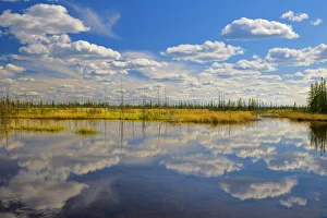 Canada, Northwest Territories, Wood Buffalo National Park. Salt Plain and pond landscape