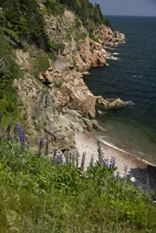 Images Dated 10th July 2008: Canada, Nova Scotia