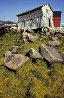 Canada, Nova Scotia, Blue Rocks. Seaweed covers rocks near old boat houses at Blue