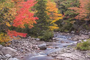 Canada, Nova Scotia, Cabot Trail. Neils Harbour, Cape Breton Highlands National Park