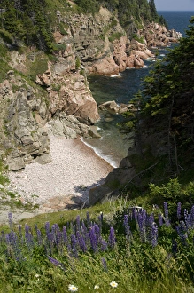 Images Dated 10th July 2008: Canada, Nova Scotia, Cape Breton Island, Cabot Trail, Ingonish