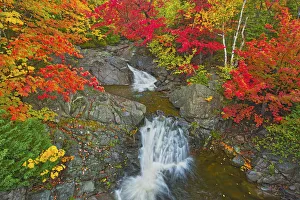 Images Dated 19th March 2019: Canada, Nova Scotia, Cape Breton Island. Morrison Brook and forest in autumn foliage
