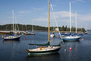 Images Dated 8th July 2009: Canada, Nova Scotia, Chester sailboats in harbor