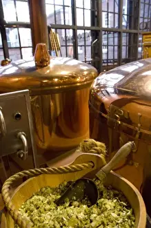 Canada, Nova Scotia, Halifax. Alexander Keiths Nova Scotia Brewery, copper tanks & hops