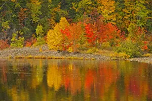 Images Dated 19th March 2019: Canada, Nova Scotia. Indian Brook and forest in autumn. Credit as