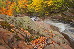 Images Dated 19th March 2019: Canada, Nova Scotia. Mary-Anne Falls and forest in autumn foliage