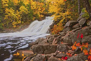 Images Dated 19th March 2019: Canada, Nova Scotia. Mary-Anne Falls and forest in autumn foliage
