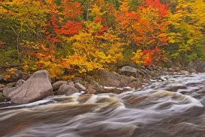 Images Dated 19th March 2019: Canada, Nova Scotia. Mary-Anne Falls and forest in autumn foliage