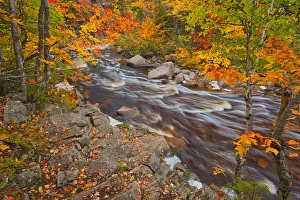 Images Dated 19th March 2019: Canada, Nova Scotia. Mary-Anne Falls and forest in autumn foliage
