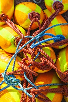 Still Life Prints: Canada, Nova Scotia, Peggys Cove. Fishing village on the Atlantic Coast