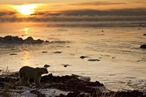 Back Lit Prints: Canada, Nunavut