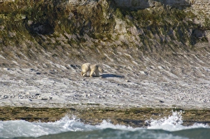 Images Dated 19th September 2010: Canada, Nunavut, Qikiqtaaluk Region