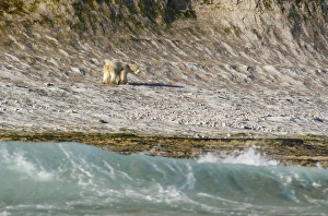 Images Dated 19th September 2010: Canada, Nunavut, Qikiqtaaluk Region