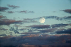 Nunavut Collection: Canada, Nunavut Territory, Arviat, Full moon rises through clouds along west coast