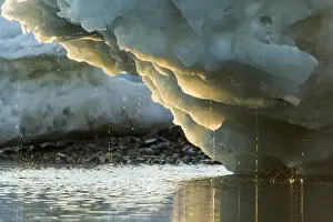 Images Dated 14th August 2014: Canada, Nunavut Territory, Water drips from melting iceberg along Frozen Channel