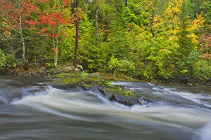 Canada, Ontario. Berry Creek landscape. Credit as: Mike Grandmaison / Jaynes Gallery /